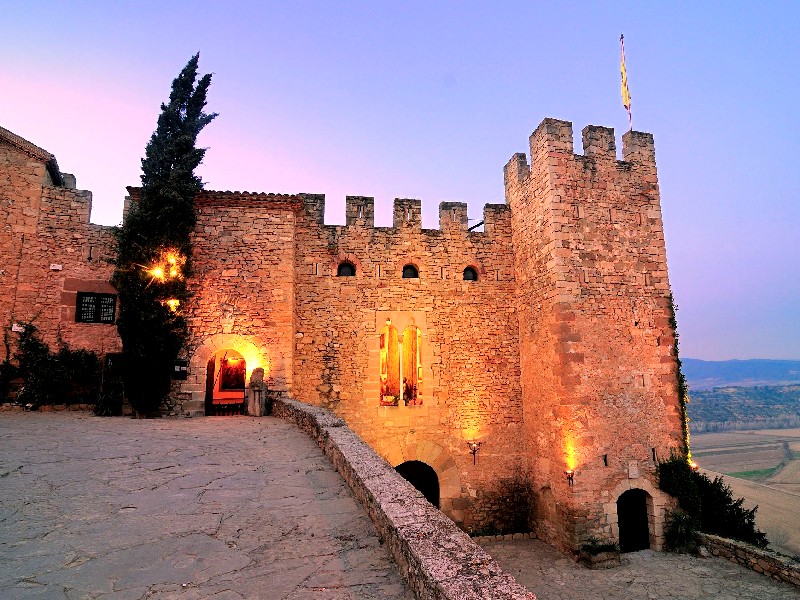 Castell de Montsonís